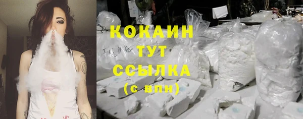 мяу мяу мука Гусев