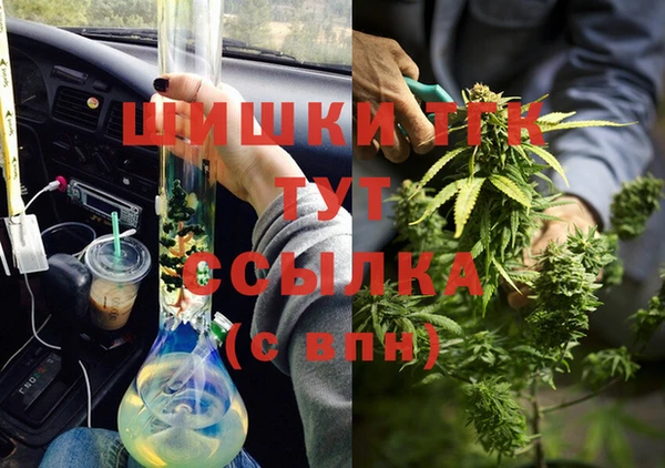 мяу мяу мука Гусев